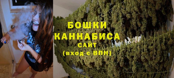 apvp Вяземский