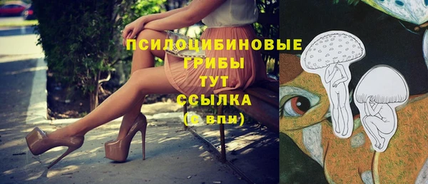каннабис Александровское